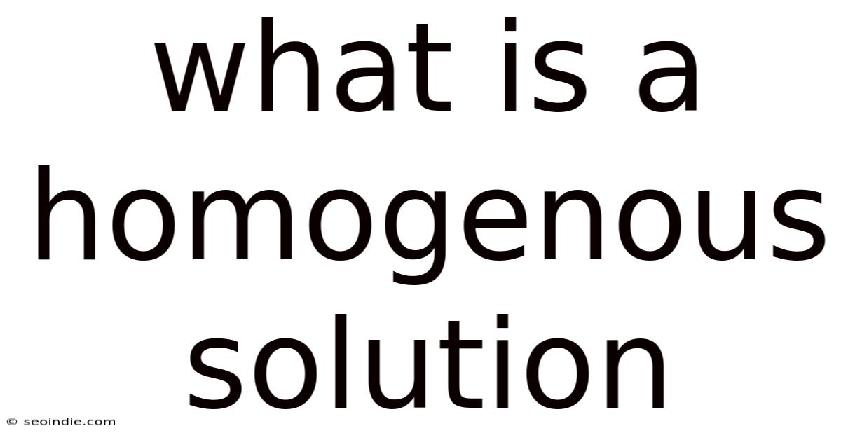 What Is A Homogenous Solution