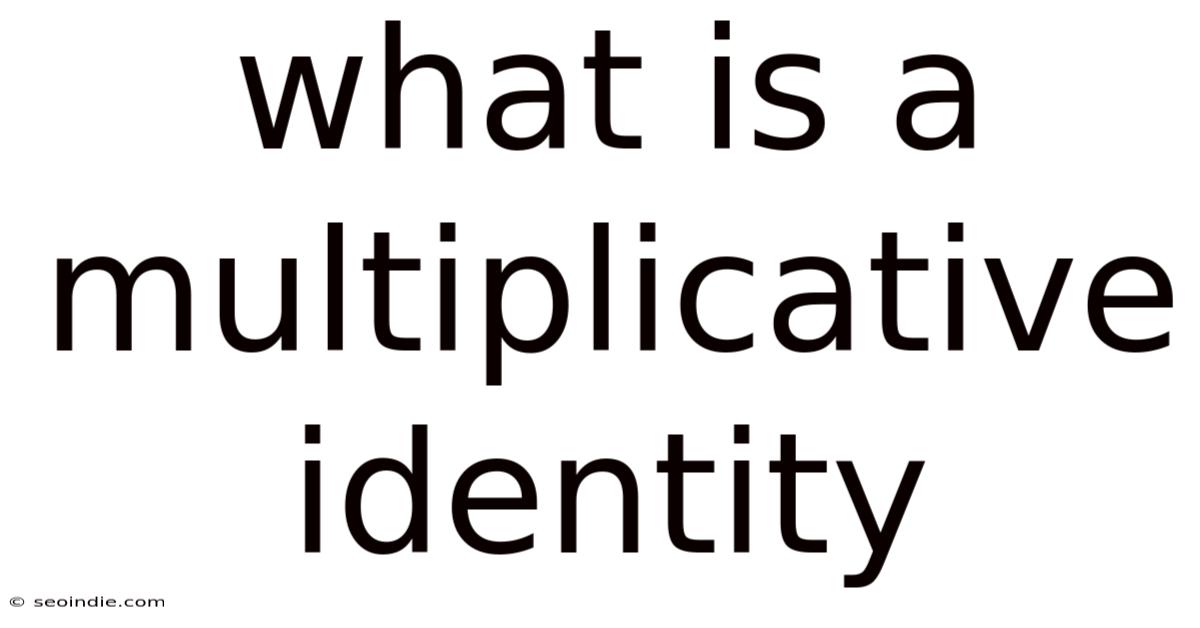 What Is A Multiplicative Identity