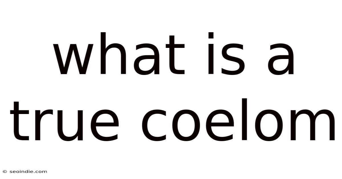 What Is A True Coelom
