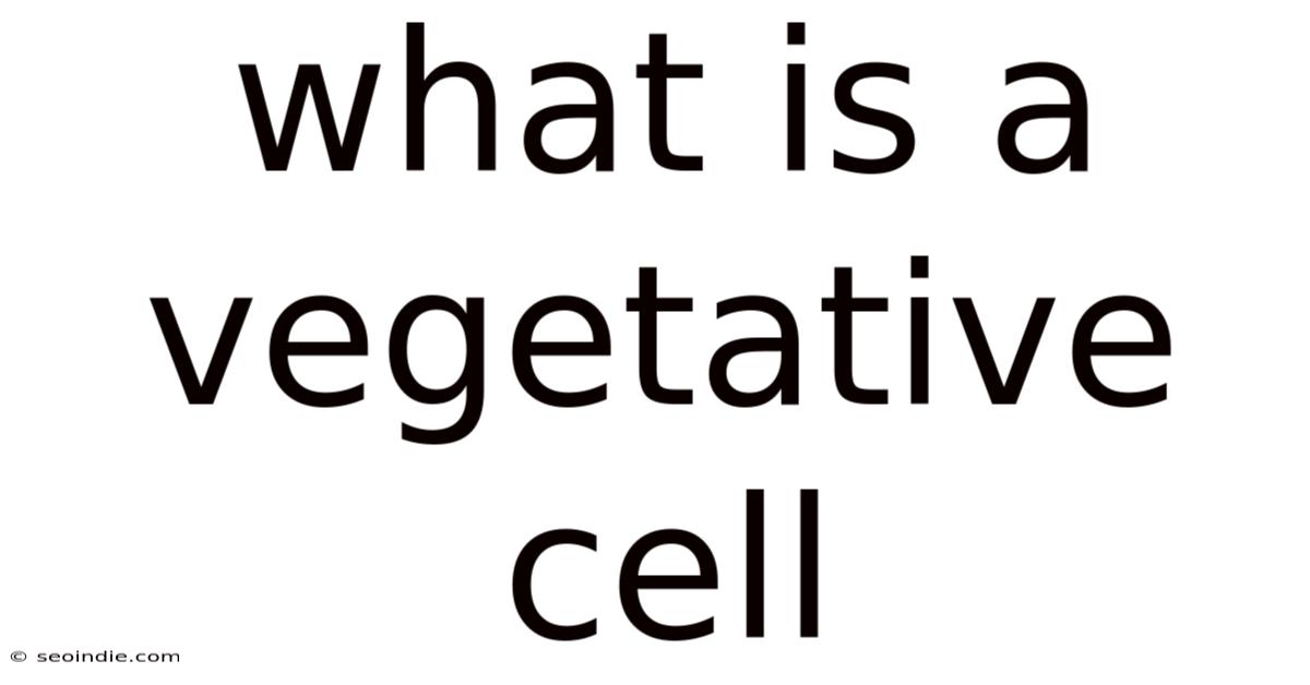 What Is A Vegetative Cell