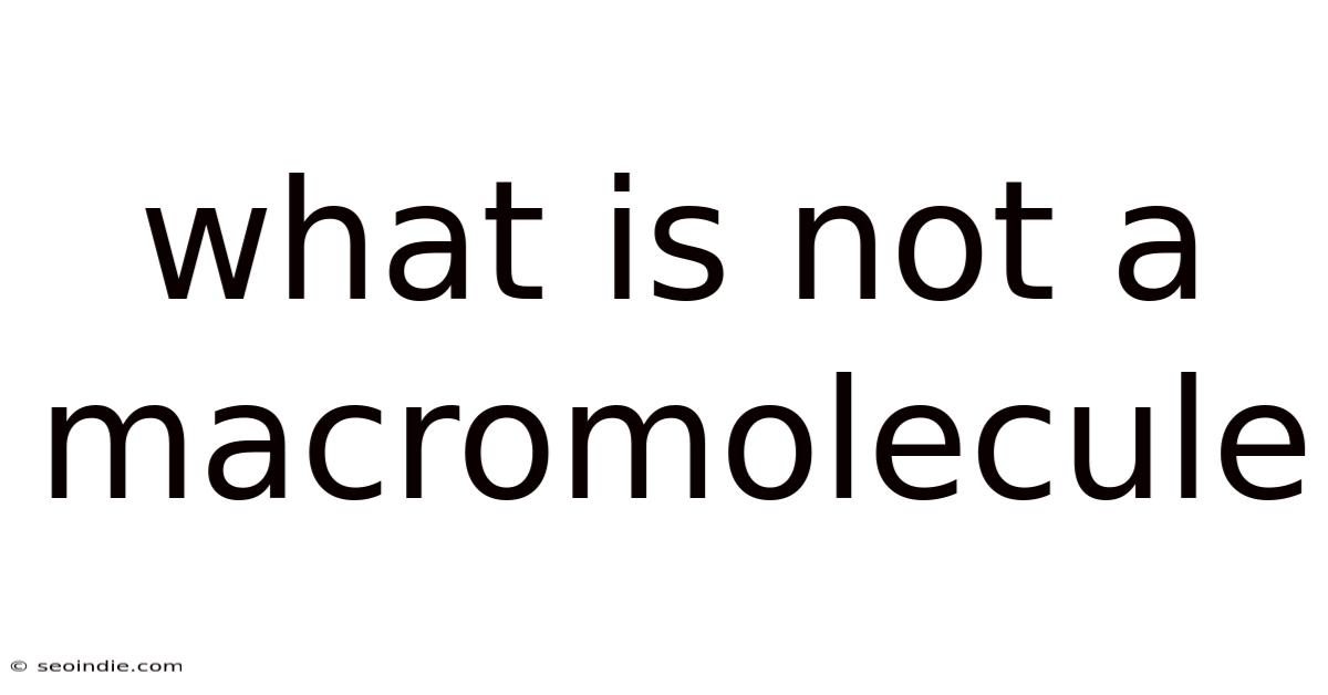 What Is Not A Macromolecule