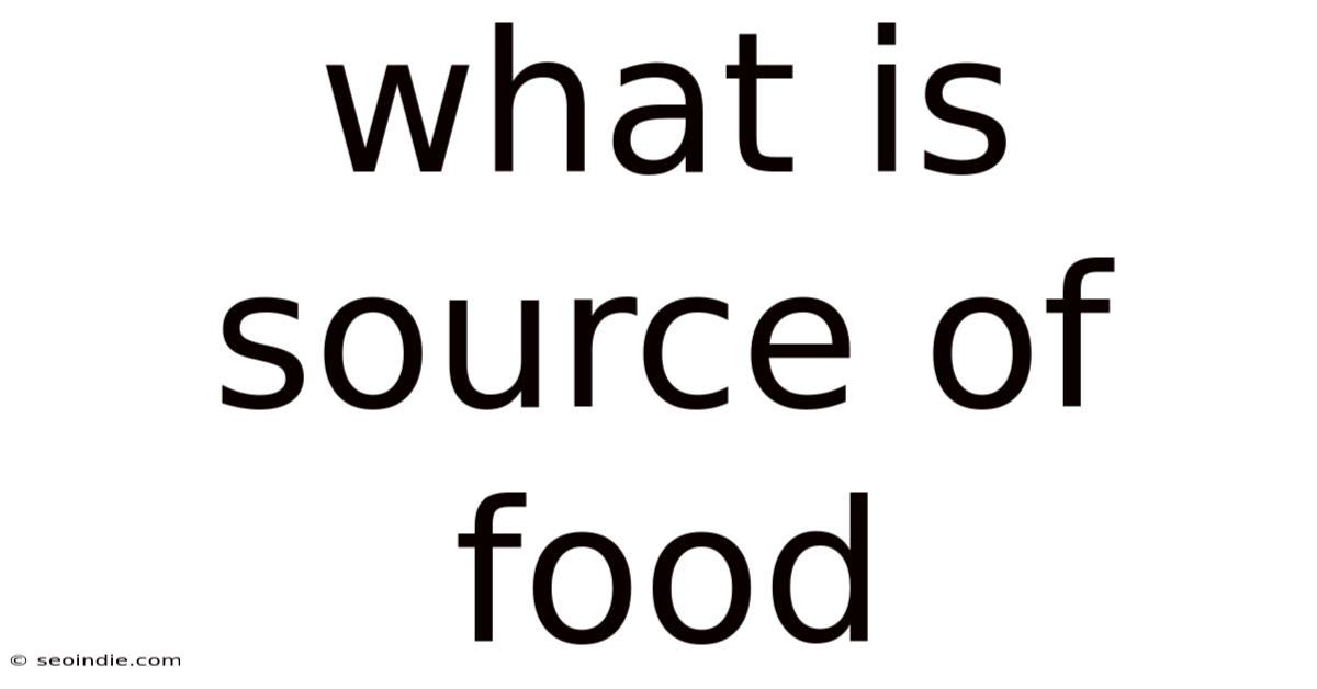 What Is Source Of Food
