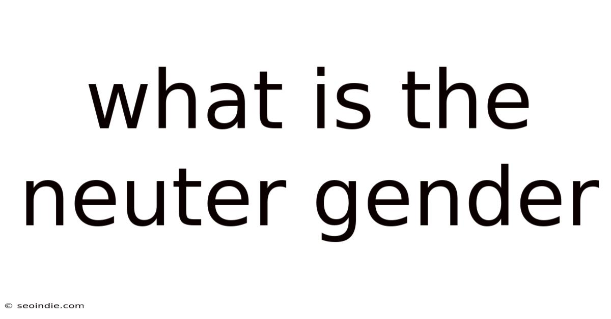 What Is The Neuter Gender