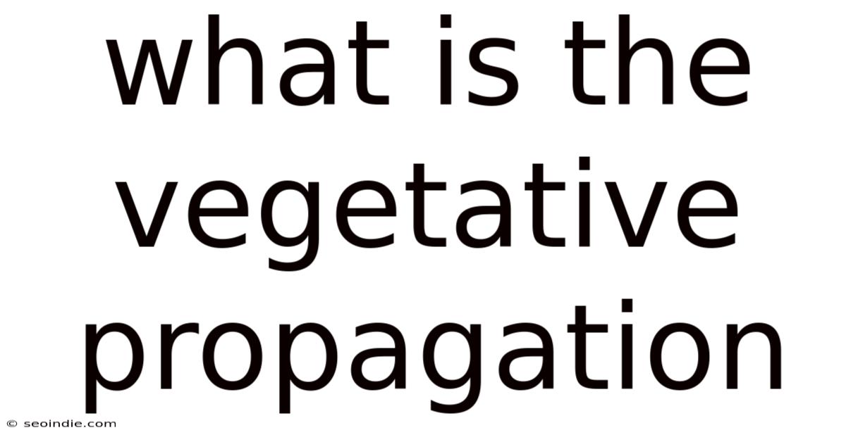 What Is The Vegetative Propagation