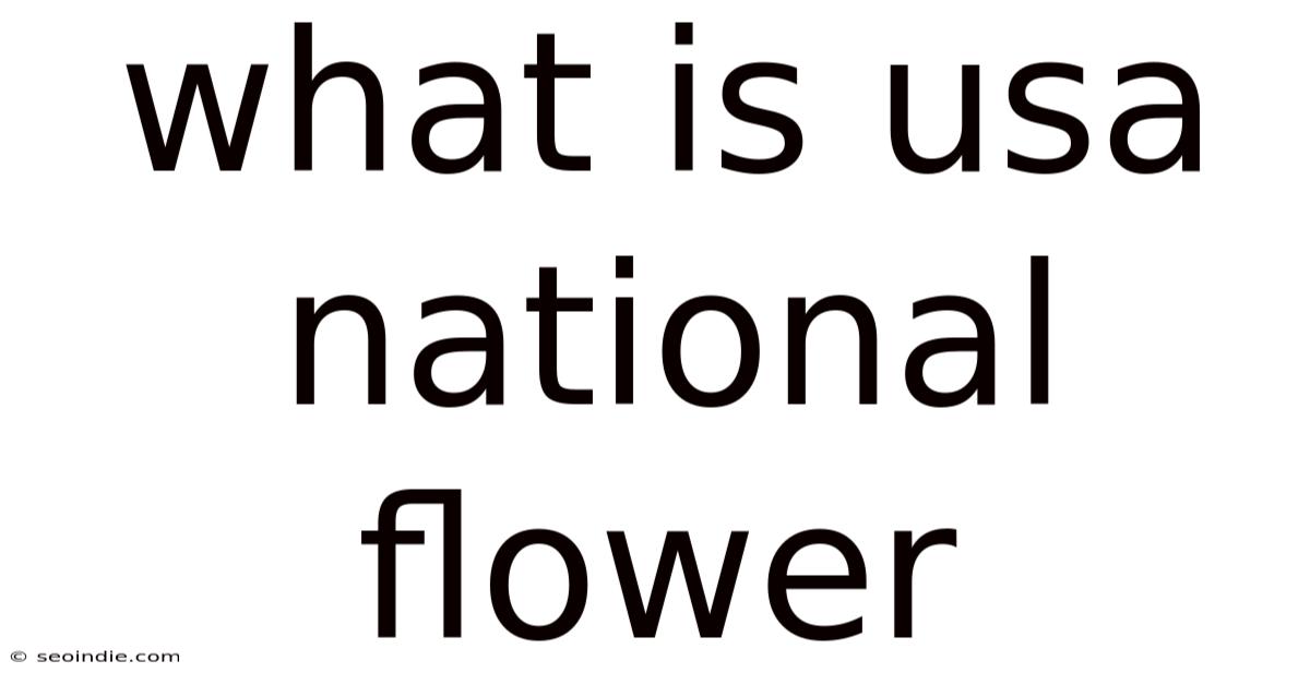 What Is Usa National Flower
