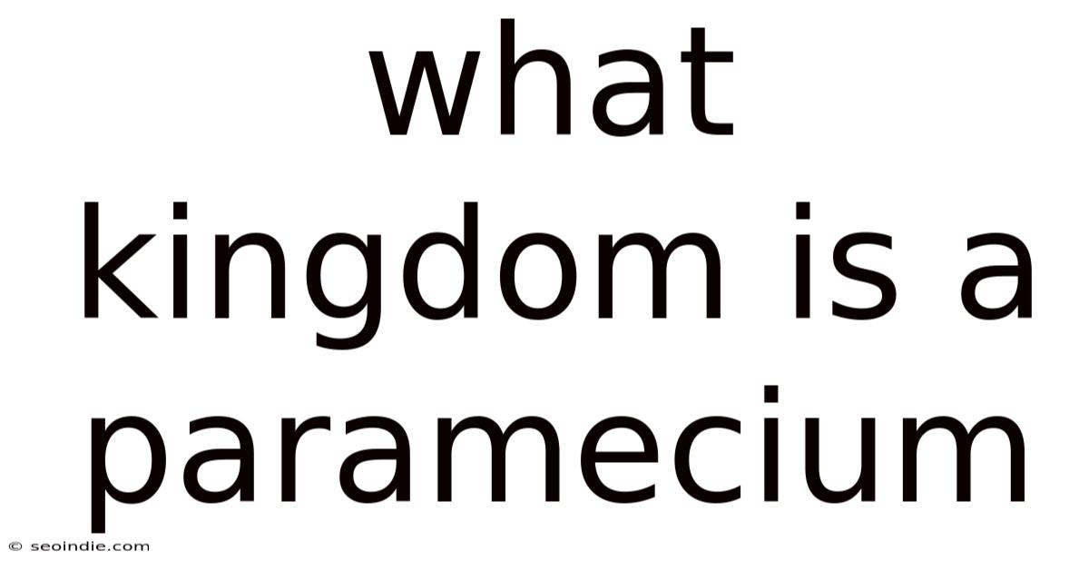 What Kingdom Is A Paramecium