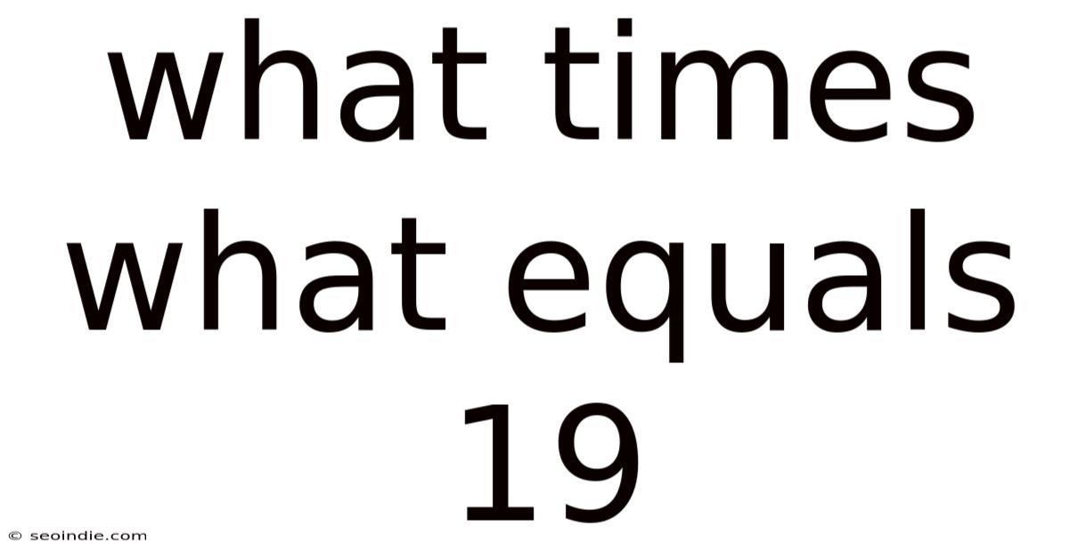What Times What Equals 19