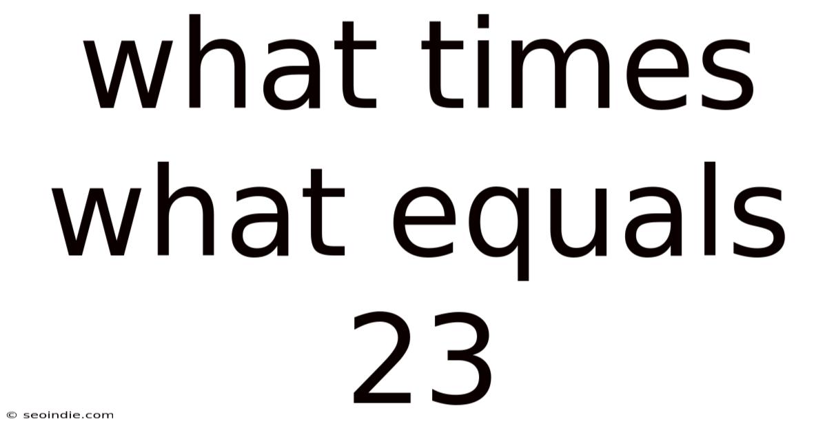 What Times What Equals 23