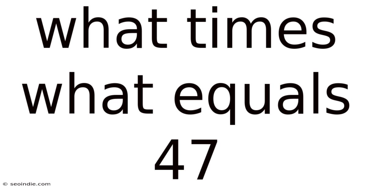What Times What Equals 47