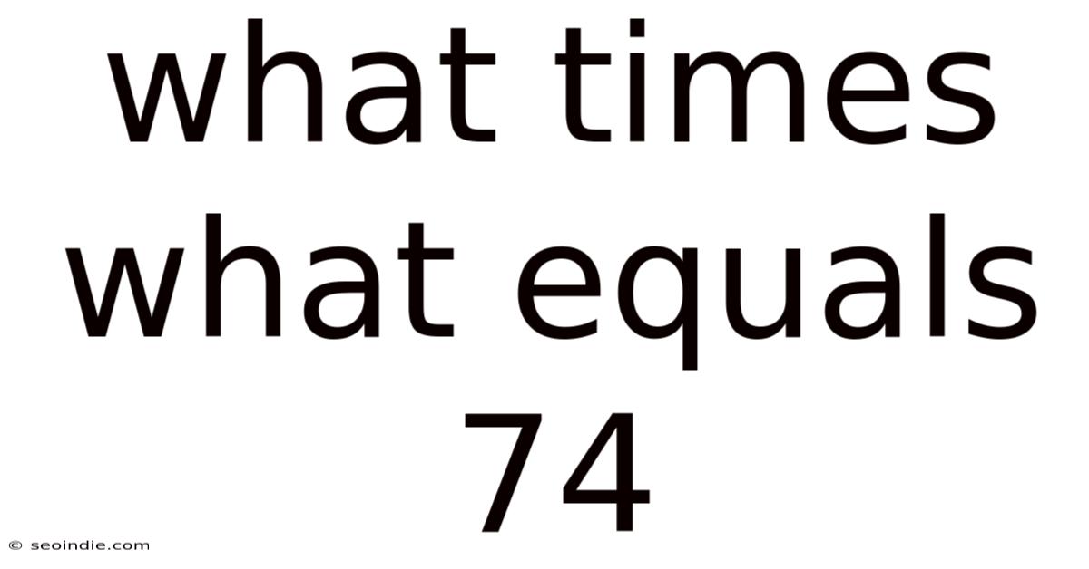 What Times What Equals 74