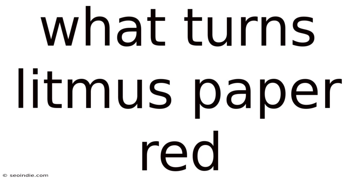 What Turns Litmus Paper Red