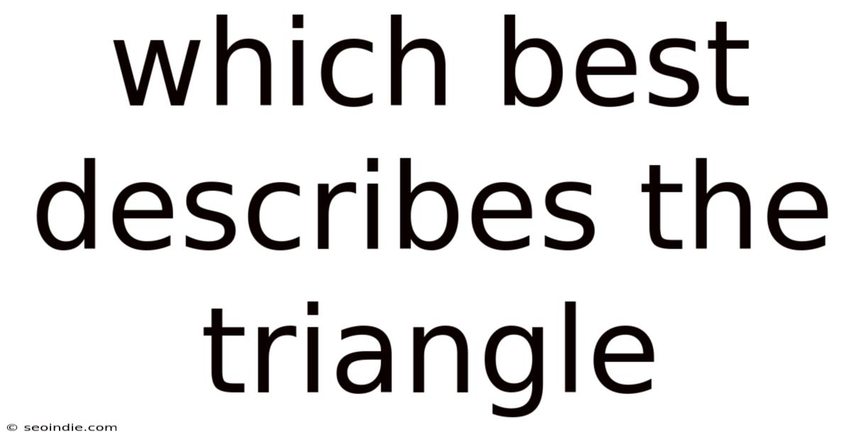 Which Best Describes The Triangle