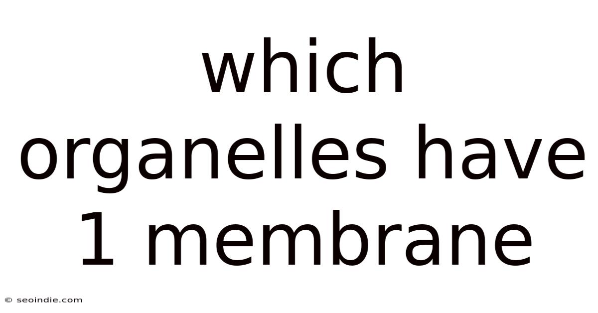 Which Organelles Have 1 Membrane