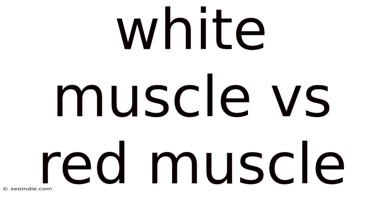White Muscle Vs Red Muscle