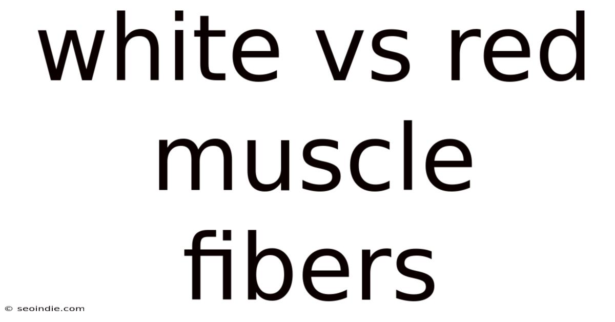White Vs Red Muscle Fibers