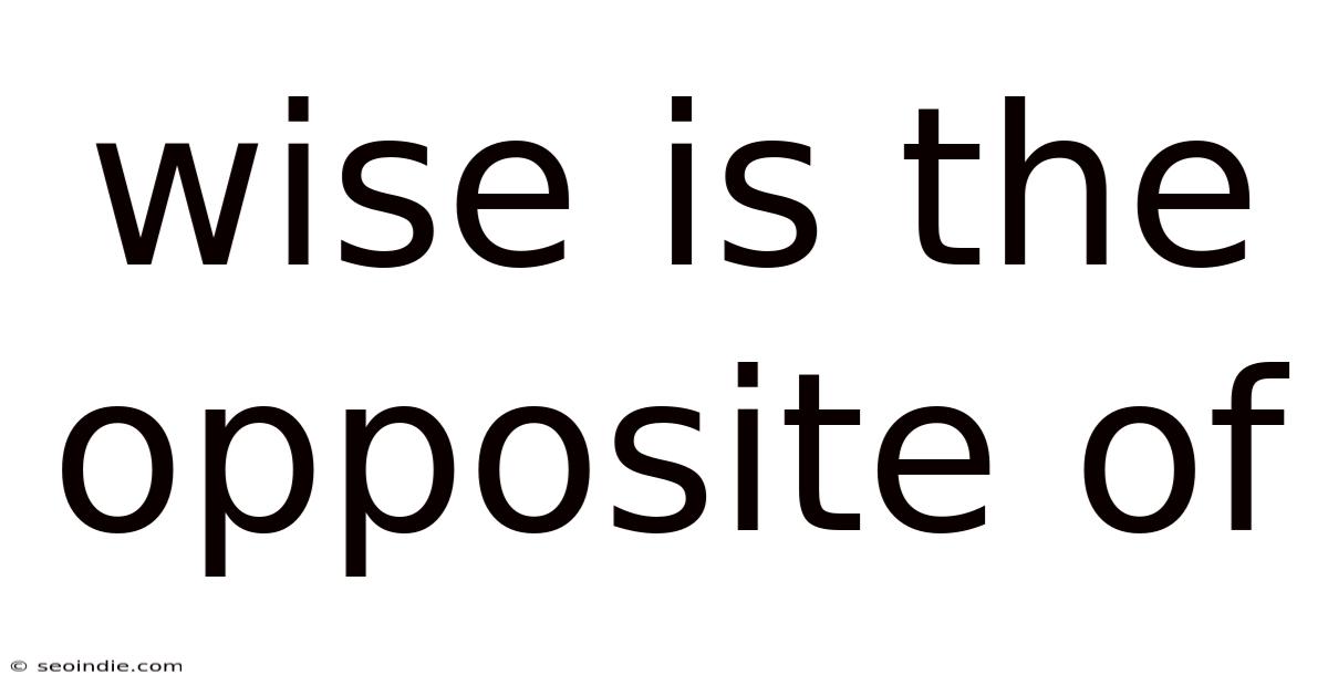 Wise Is The Opposite Of