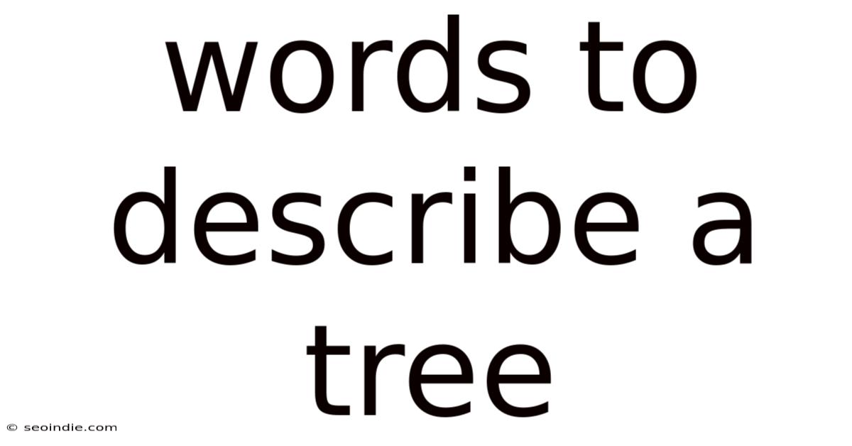 Words To Describe A Tree